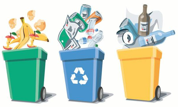 Segregacja śmieci w 2019 roku - co mówią przepisy